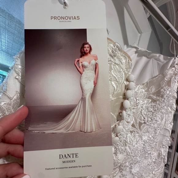 Dante Modern Wedding Gown - Picture 8 of 13